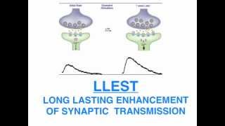 Kandel Neural basis of memory [upl. by Sarat]