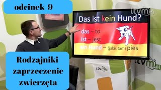 Niemiecki w parę minut 9  rodzajniki zaprzeczenie i zwierzęta [upl. by Boycie]