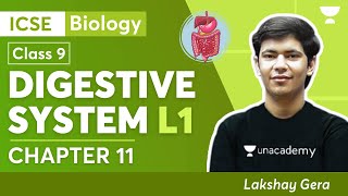 Digestive System  L1  Class 9 ICSE  Class 9 Biology Chapter 11  Lakshay Gera  Unacademy [upl. by Siclari]