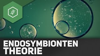 Endosymbiontentheorie [upl. by Dhiman242]