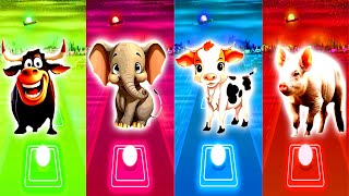 Ferdinand VS Baby elephant VS Adorable Cow VS Cute Pig  Tiles Hop EDM Rush [upl. by Jedd242]