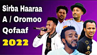 Sirba Haaraa Afaan Oromoo youtube chaanaaloota isin biraan gahaan  New Oromo music 2023 Oromp3 [upl. by Flita144]