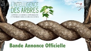 LIntelligence des Arbres  Bande Annonce Officielle  VF [upl. by Imit]