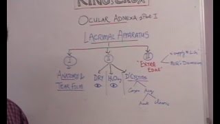 Lecture 1 Lacrimal System [upl. by Avilla]