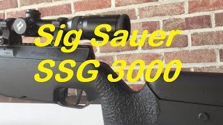 SIG Sauer SSG 3000  Schmidt amp Bender 416x50  110 Yards [upl. by Alihs60]