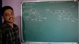 9 Total Synthesis of Reserpine through Reserpic Acid  Chemistry of Alkaloids [upl. by Anneehs]