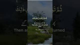 Than after that you turned away  Allah ka Quran ko share karo subcribe My chanel AliBro1114 [upl. by Nanyt873]