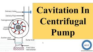 Cavitation In Centrifugal Pump [upl. by Cecilius466]