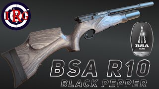 BSA R10 SE Black Pepper Grey Laminate Air Rifle Review 4K [upl. by Eednim2]