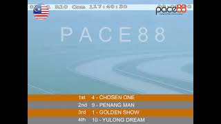 20241103 Race 10 Malaysia Perak Horse Racing Highlights  Pace88 Horse [upl. by Aicertal]