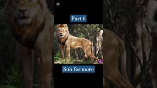 The Lion King 2019 Movie Explained in HindiUrdu Part 6 shorts viralshorts trendingshorts [upl. by Aneekahs955]