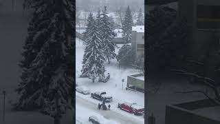 Snowfalls in Edmonton Alberta Canada [upl. by Elumas]