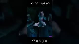 ROCCO PAPALEO VIVA LA FREG 🔺️🤣🤣🤣🤣🤣 youtubeshorts [upl. by Rennoc]