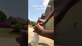 Vinegar and baking soda bomb [upl. by Antoni]