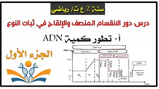 تطور كمية ADN خلال الانقسام المنصف والإلقاح مثال بسيط 🎯سنة 2 ع ت ر [upl. by Evol]