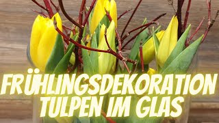 Tulpen in Vase einstellen  Schnelle Frühlingsdekoration  DIY Frühlings Deko Idee vom Blumenmann [upl. by Nnairahs936]