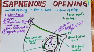 Saphenous Opening  Modification of Fascia Lata [upl. by Emory728]