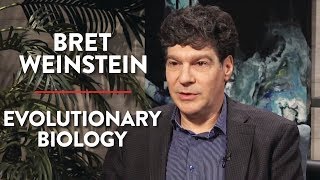 On Evolutionary Biology and Gender Pt 2  Bret Weinstein  ACADEMIA  Rubin Report [upl. by Saalocin]