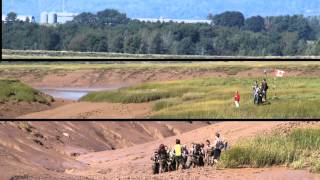 An Innovative Montage of Mudcreek Wolfville and Acadia MixUp Red and BLue DayWolfville Nova Scotia [upl. by Zellner619]