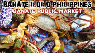 Banate Iloilo Philippines Walking Tour Featuring Banate Public Market [upl. by Pinchas]