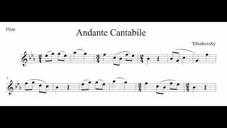 Andante Cantabile  Flute Tch [upl. by Sonnnie]