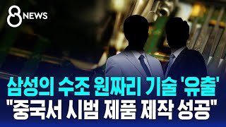 삼성의 수조 원짜리 기술 유출…quot중국서 시범 제품 제작 성공했다quot  SBS 8뉴스 [upl. by Rukna39]