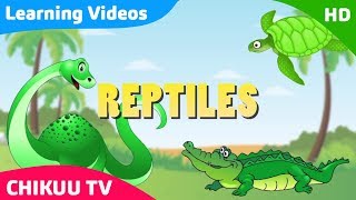 Learning About Reptiles  Learn Reptiles  Educational Video for Kids learnreptiles reptilesforkid [upl. by Behre]