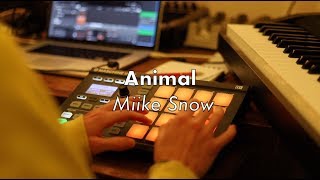 Animal  Miike Snow Cover [upl. by Kcin]