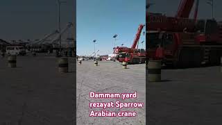 Rezayat Sparrow Arabian crane here in dammam yard [upl. by Eemla]