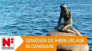 Ferienhausurlaub in Dänemark [upl. by Teahan]