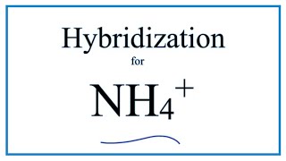 Hybridization for NH4 description of hybrid orbitals for Nitrogen [upl. by Emelia]