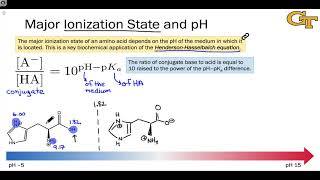 Acidity and Ionization States of Amino Acids [upl. by Ahasuerus]