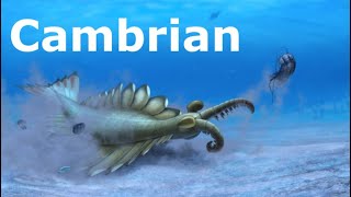 The Cambrian Period Summarized [upl. by Diskin845]