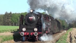 Poland PKPSteam Engines in Wolsztyn [upl. by Ahsemac357]