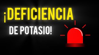 3 Síntomas de FALTA de POTASIO  Señales de DEFICIENCIA de POTASIO [upl. by Dawaj]