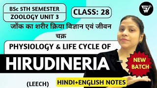 Physiology amp Life Cycle of HIRUDINERIA LEECH Annelida to Arthopoda  BSc 5th Semester ZOOLOGY [upl. by Tatianna]