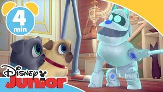 Valpevenner  Den nye robothunden  Disney Junior Norge [upl. by Allred]