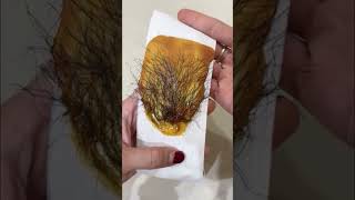 Waxing Armpit Hair 😱 shorts hairremoval armpitwaxing [upl. by Auohs]