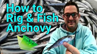 How to Rig amp Fish for Salmon with Anchovy Teaser Heads [upl. by Batish]