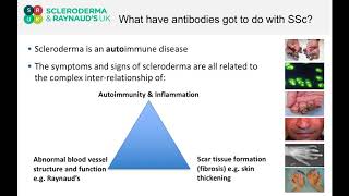 Dr John D Pauling  what have antibodies got to do with Scleroderma [upl. by Nyleek799]