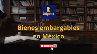 Embargos Bienes embargables en México [upl. by Lerrehs]