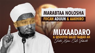 Muxaadaro Iyo Qisooyin Qalbi Taabad Ah  Sheikh Hussein Ali Jabuuti 2024 [upl. by Zoie]