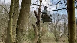 RAF Chinook lands in the woods [upl. by Vasili]