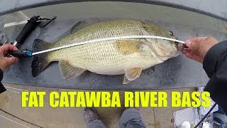 Fat Catawba River Largemouth Bass 5lbs 5oz on Strike King Rage Swimmer Swimbait [upl. by Polk]