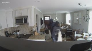 Caught on camera Burglars break into home steal safe [upl. by Debra430]