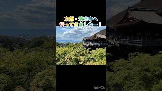 【京都市・清水寺】京都の代名詞と言っても過言ではないでしょう。久しぶりに訪れました。清水の舞台は緑豊かな自然と融合して、素晴らしい景観を醸し出してます。何度訪れても素晴らしいと感じます。本当におすすめ [upl. by Kehoe]