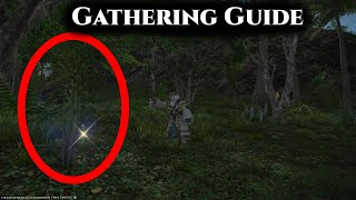 FFXIV Island Sanctuary Gathering Guide [upl. by Arada]