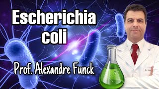 Escherichia coli treatment [upl. by Megargee]