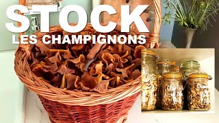 STOCK 6  Les champignons  chanterelles cèpes coulemelles  Séchage et bocaux [upl. by Alderson]