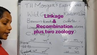 Linkageamp Recombination T H Morgans Experimentseducationplustwoscience students [upl. by Llerrem]